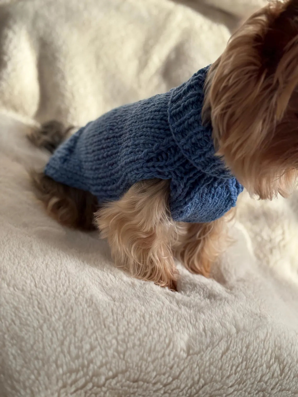 Basic Dog Sweater Knitting Pattern