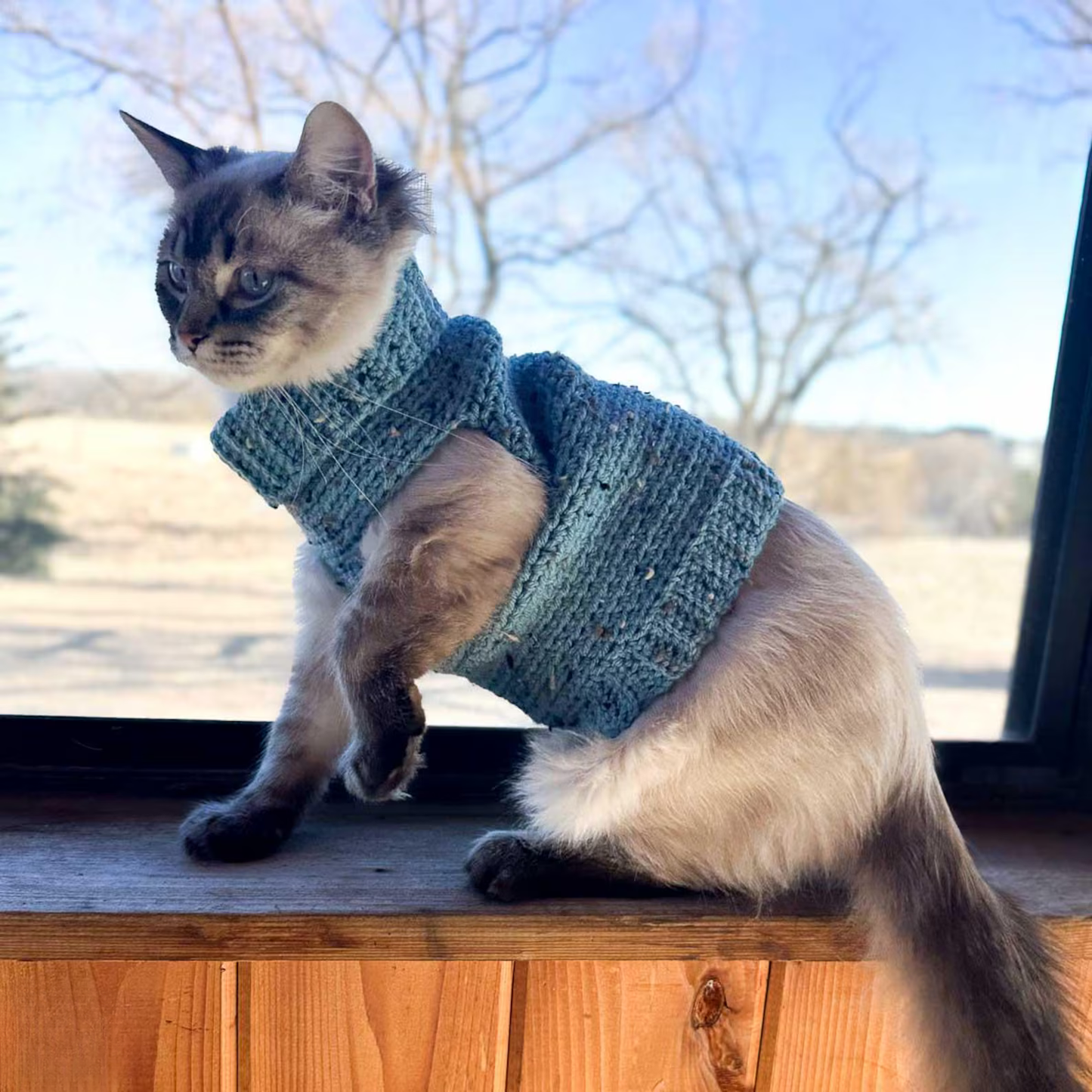 Cozy Cat Sweater Crochet Pattern