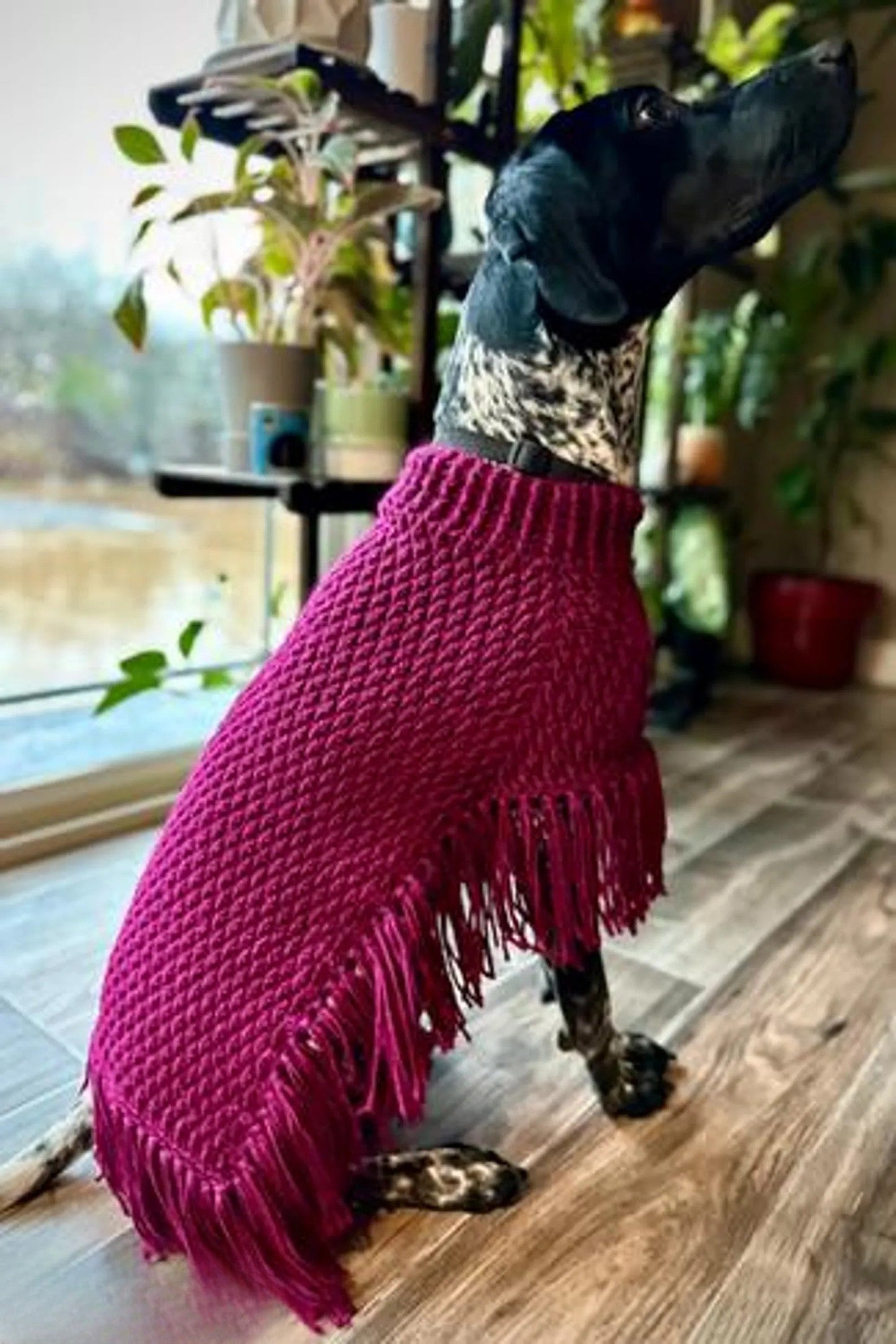 Dog Poncho Crochet Pattern