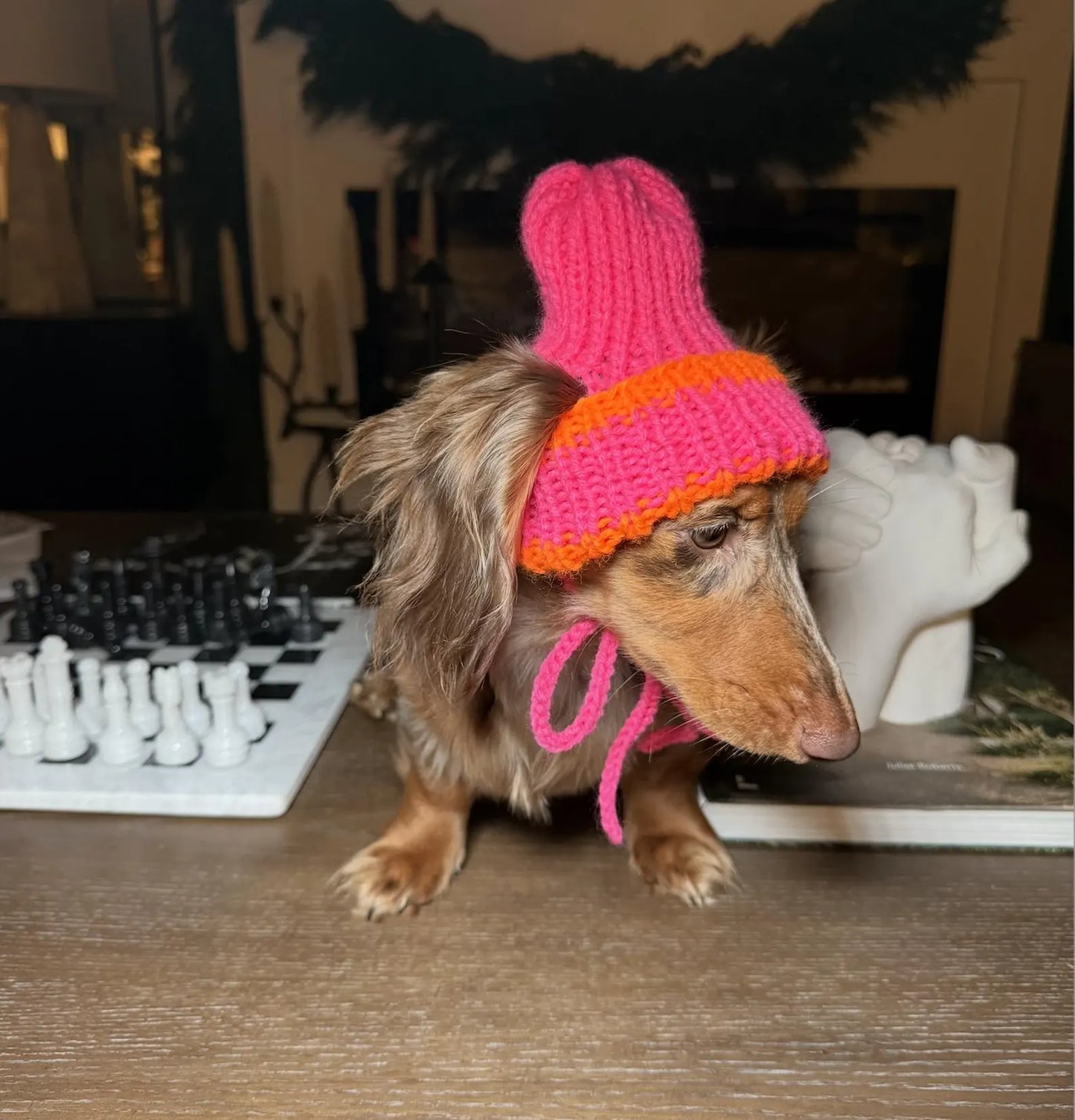 Dog Beanie Knitting Pattern