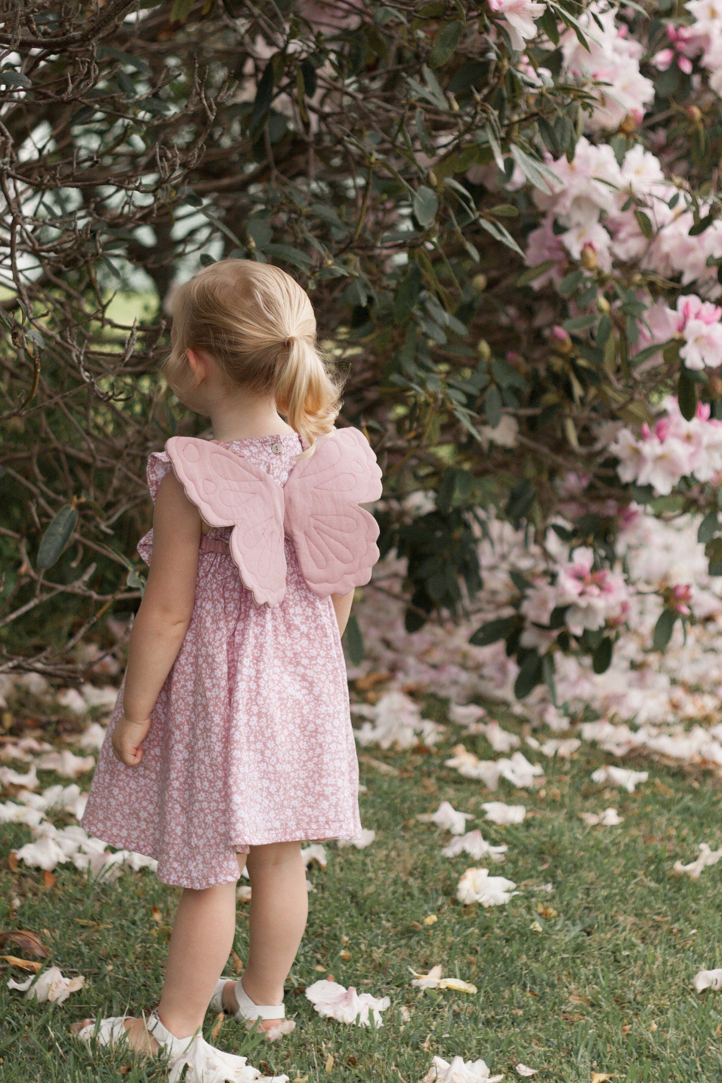 Fairy Wings Sewing Pattern