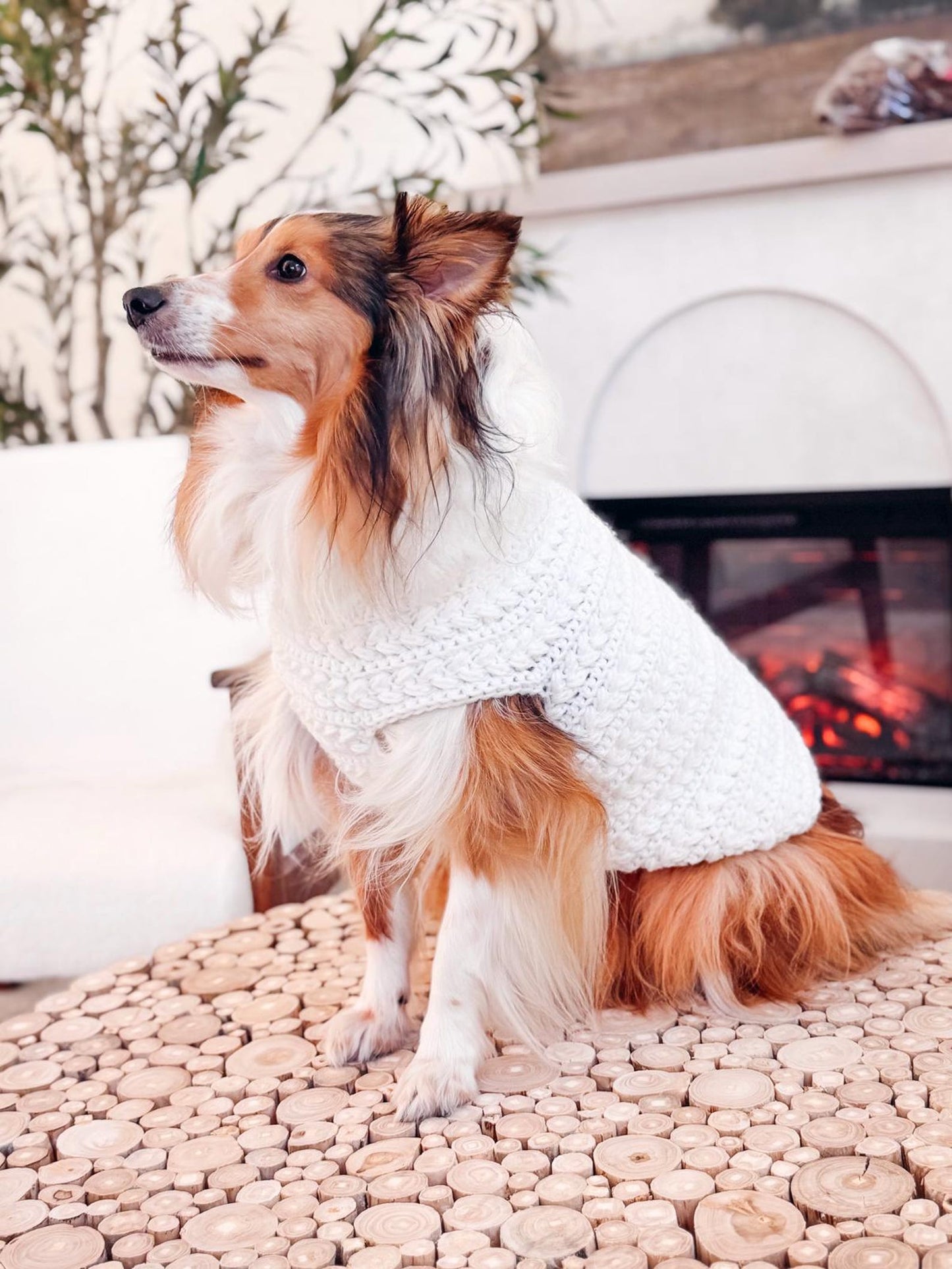 Top Down Dog Sweater Crochet Pattern