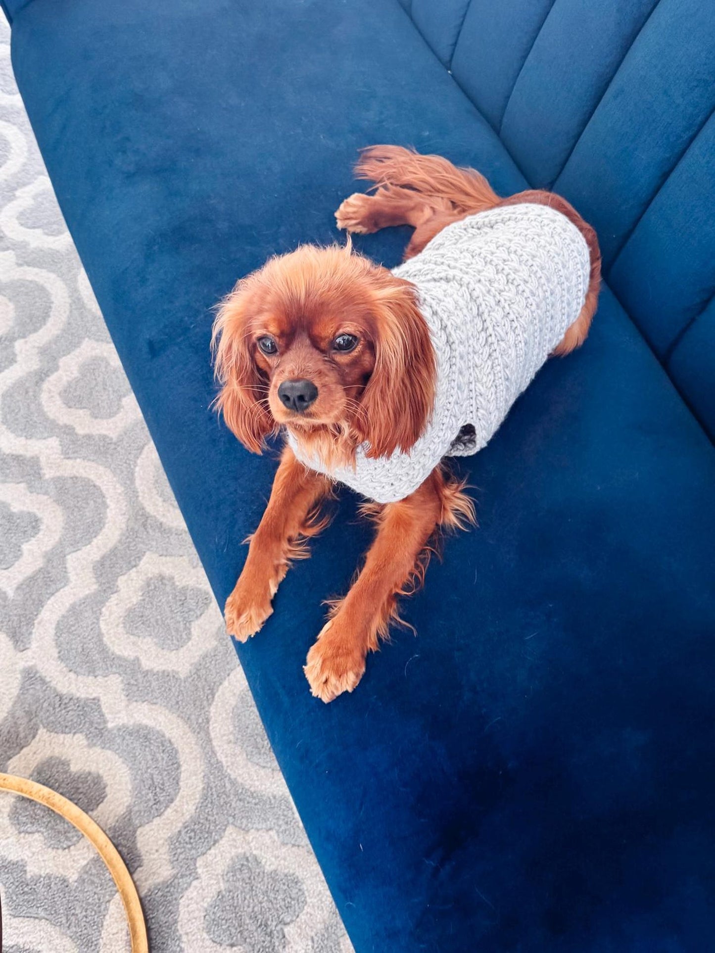 Top Down Dog Sweater Crochet Pattern