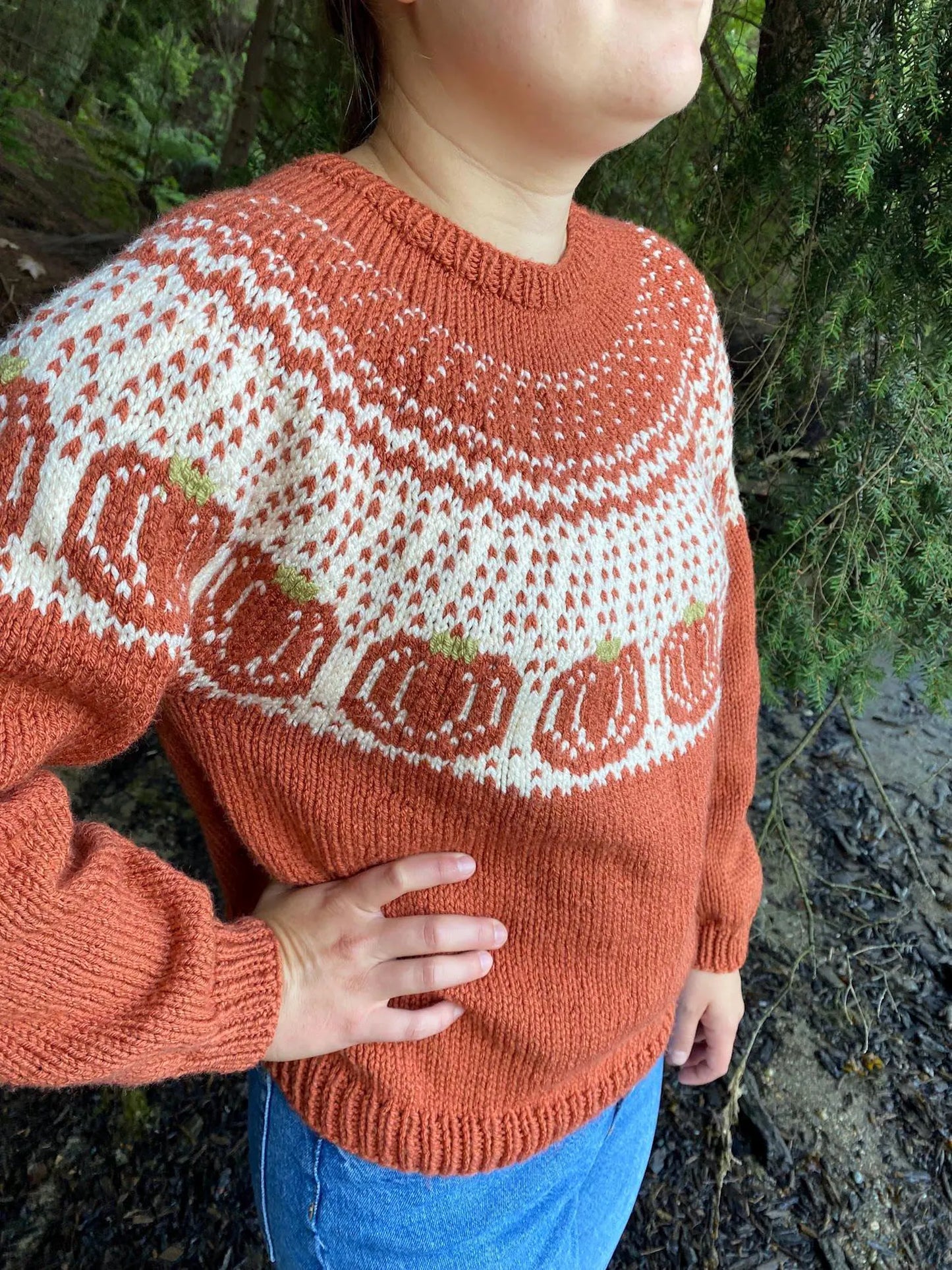 Pumpkins Sweater Knitting Pattern