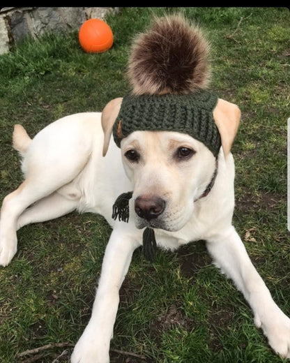 Prickly Paw Hat Crochet Pattern