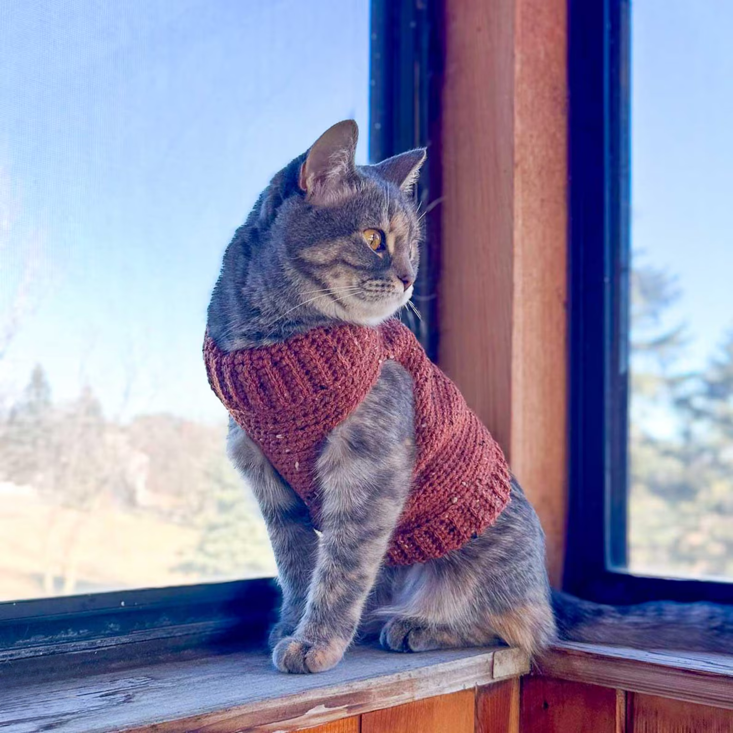 Cozy Cat Sweater Crochet Pattern