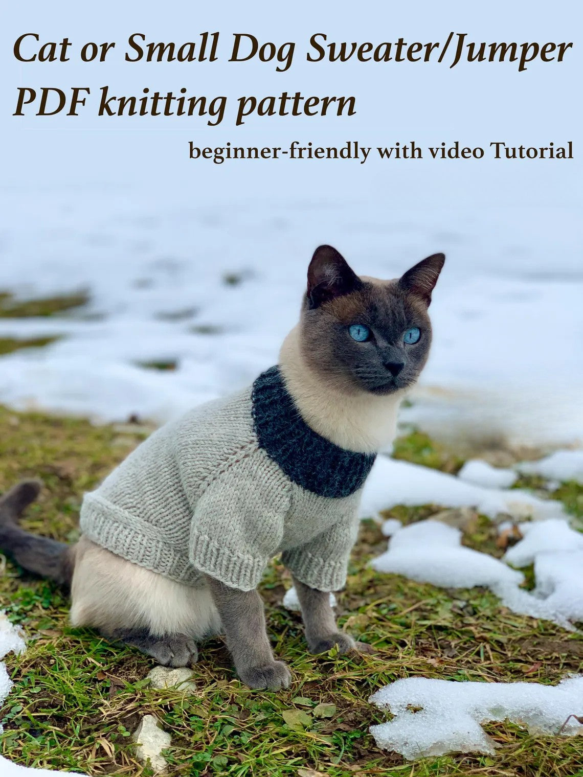 Cat or Small Dog Sweater Knitting Pattern