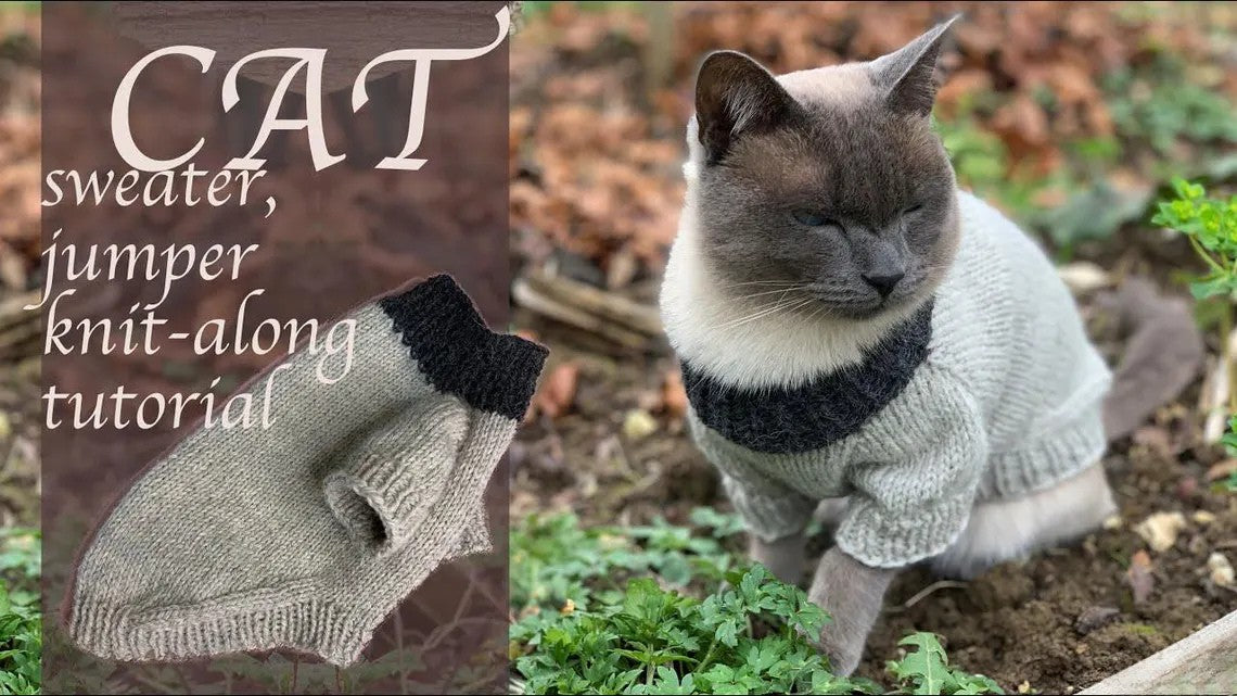 Cat or Small Dog Sweater Knitting Pattern