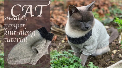 Cat or Small Dog Sweater Knitting Pattern