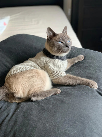 Cat or Small Dog Sweater Knitting Pattern