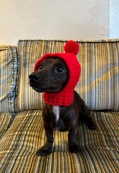 Dog Hood Crochet Pattern