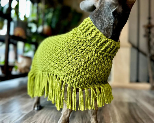 Dog Poncho Crochet Pattern