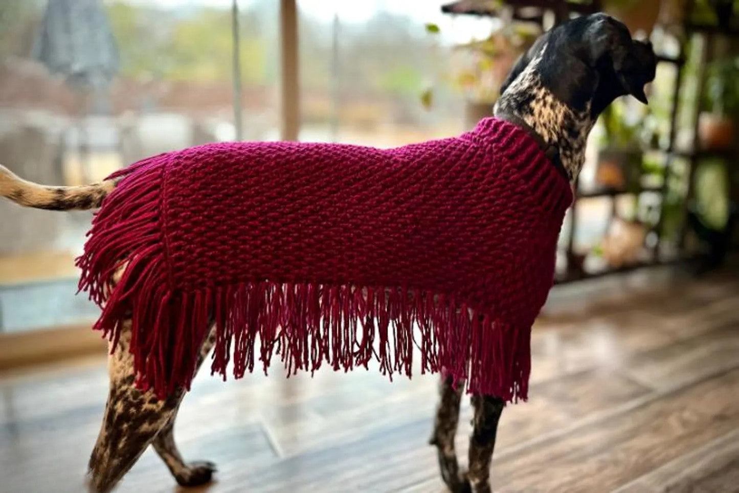 Dog Poncho Crochet Pattern