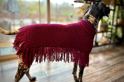 Dog Poncho Crochet Pattern
