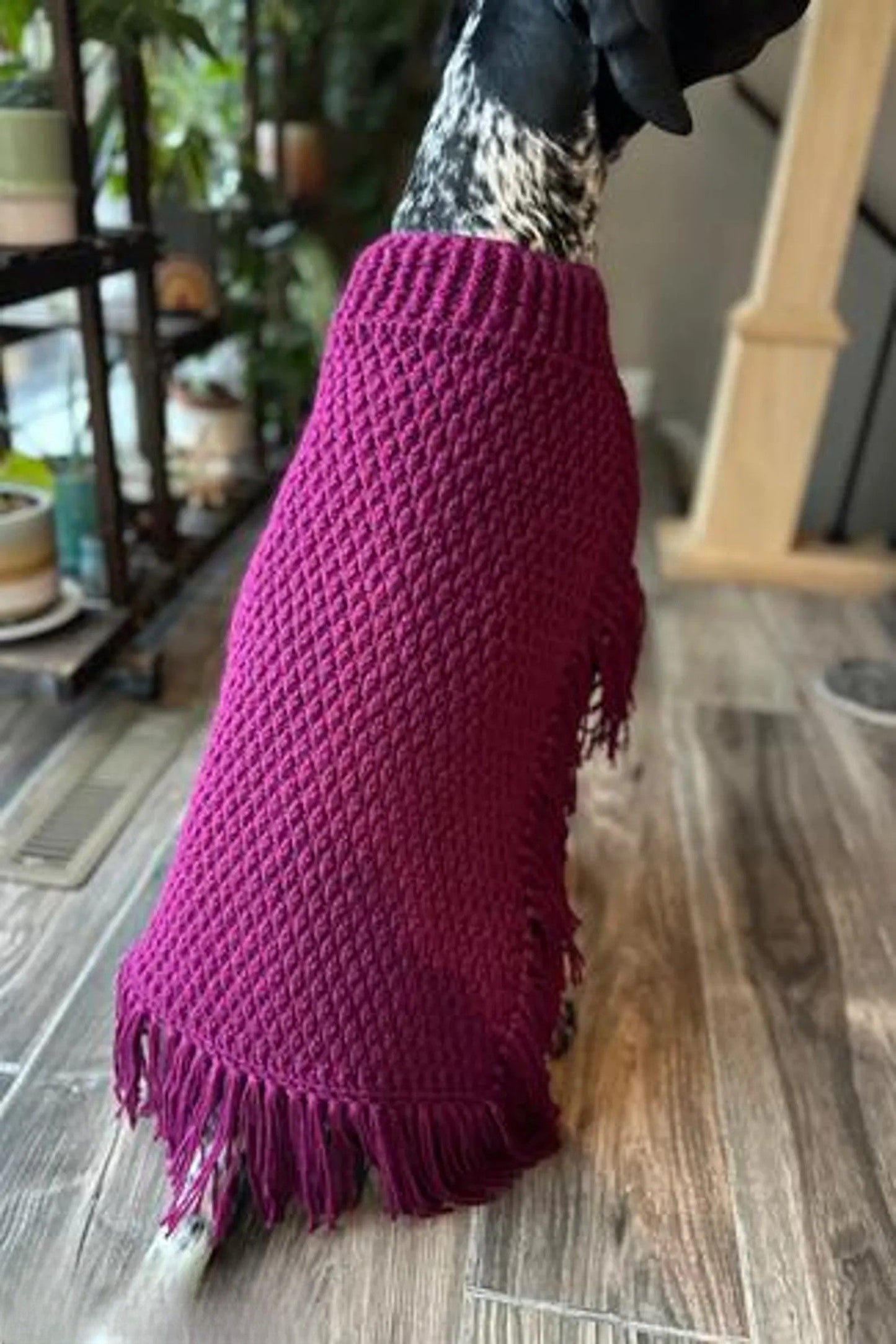 Dog Poncho Crochet Pattern