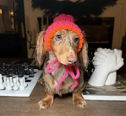 Dog Beanie Knitting Pattern