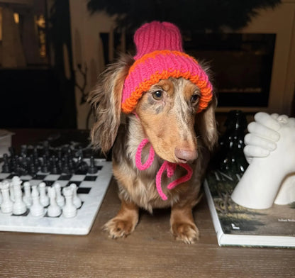 Dog Beanie Knitting Pattern