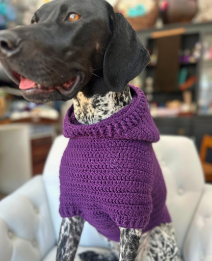 Easy Dog Hoodie Crochet Pattern
