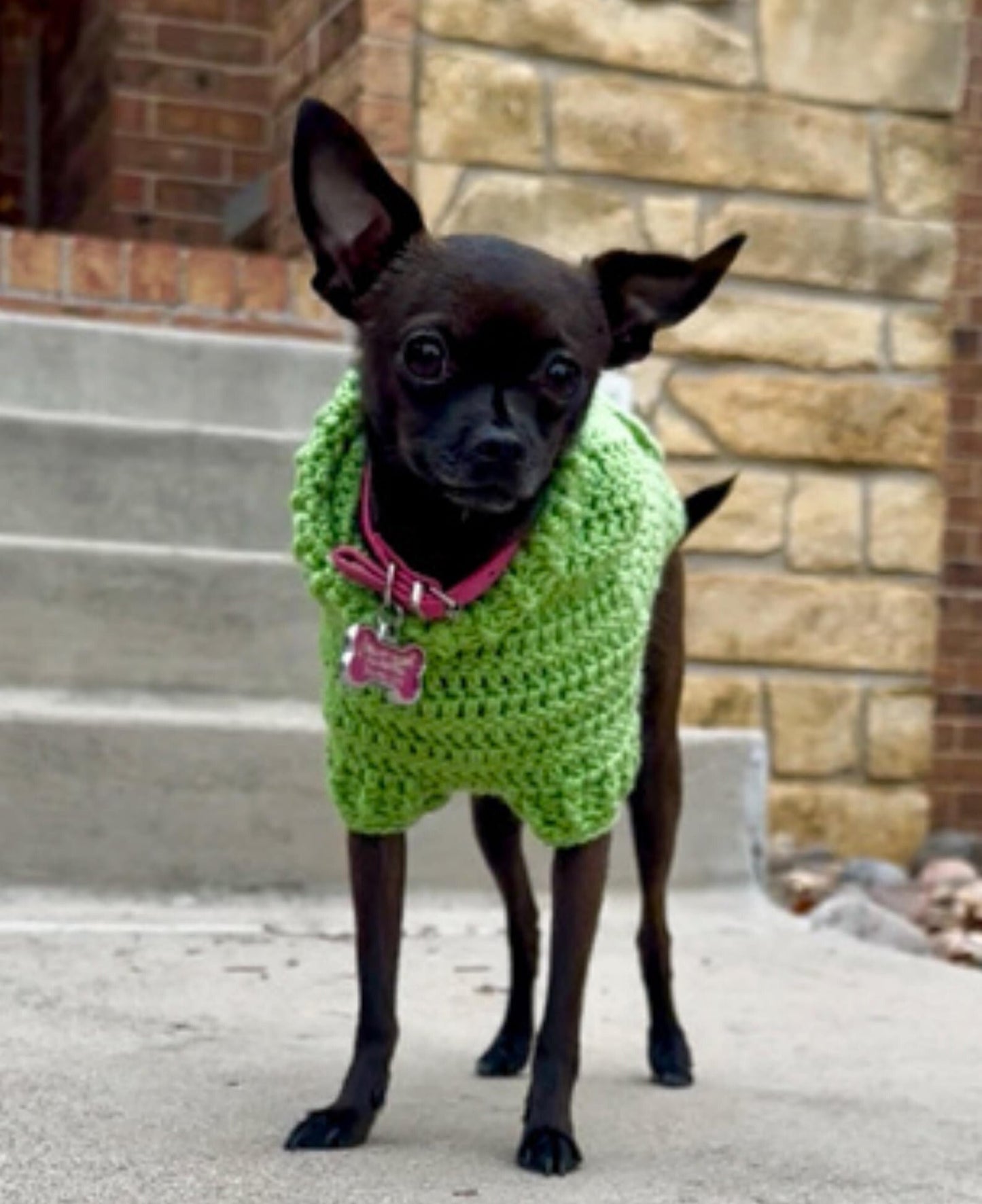 Easy Dog Hoodie Crochet Pattern