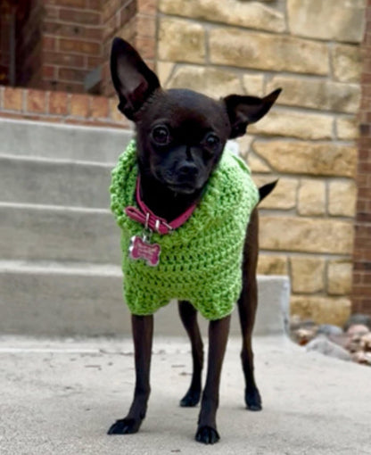Easy Dog Hoodie Crochet Pattern