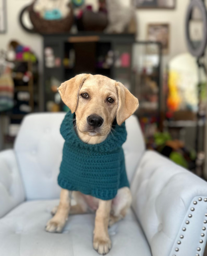 Easy Dog Hoodie Crochet Pattern
