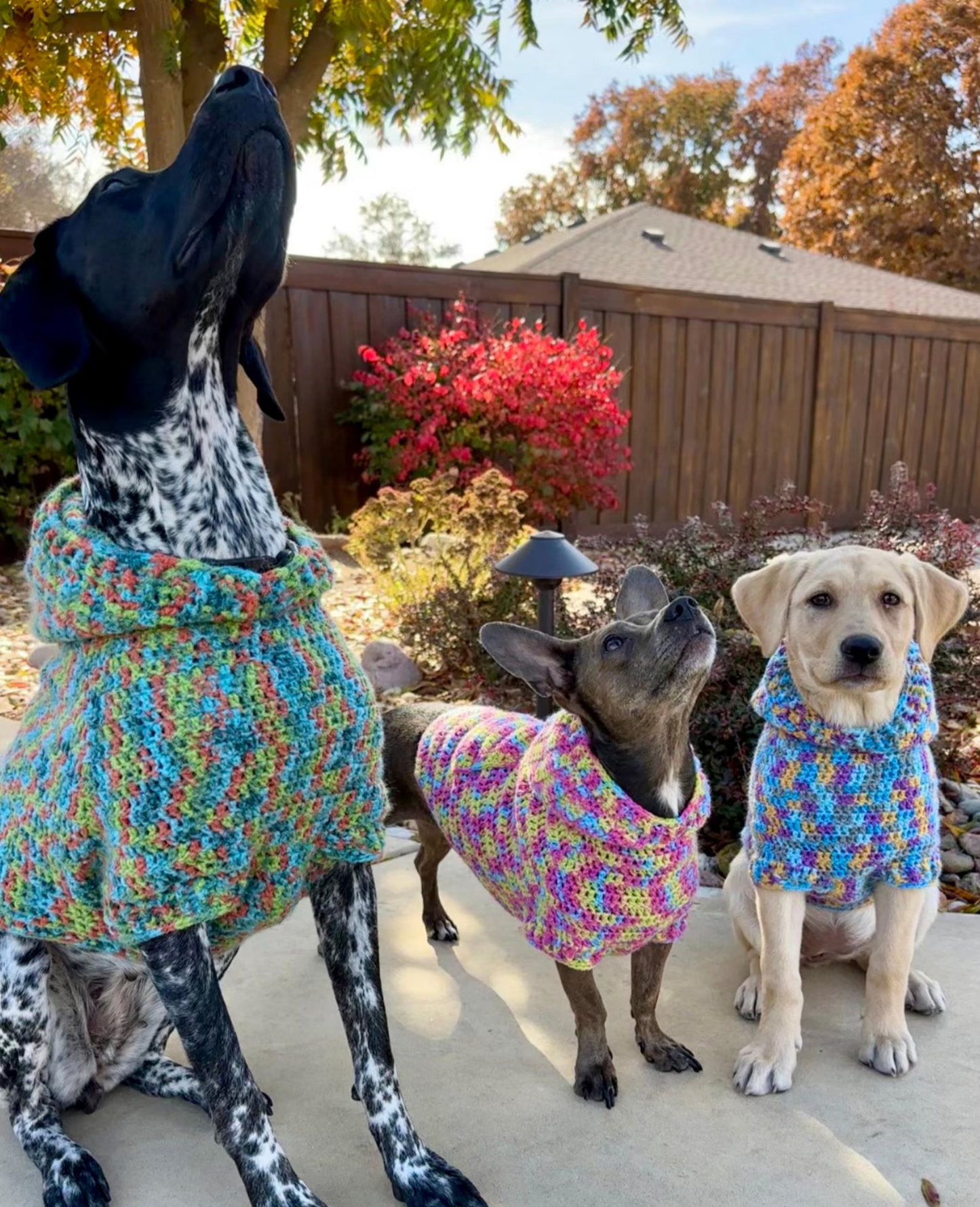 Easy Dog Hoodie Crochet Pattern