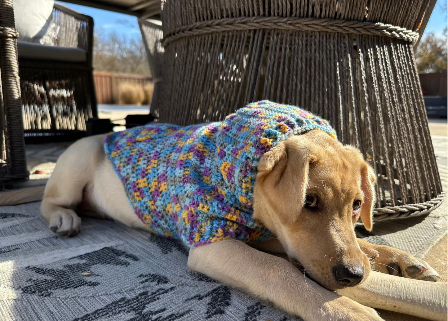 Easy Dog Hoodie Crochet Pattern