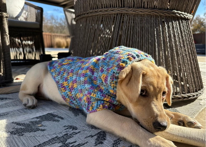 Easy Dog Hoodie Crochet Pattern