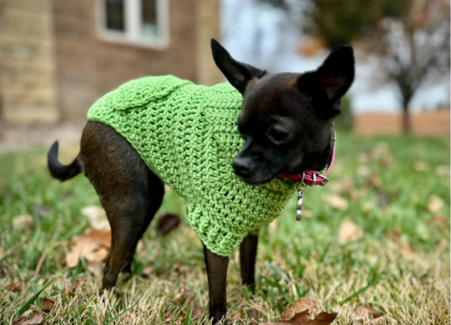 Easy Dog Hoodie Crochet Pattern