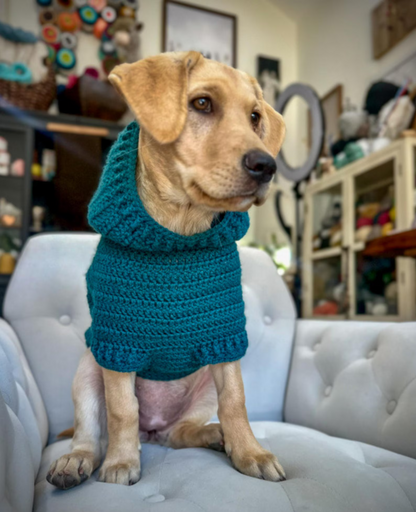 Easy Dog Hoodie Crochet Pattern