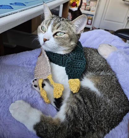 Mallard Duck Scarf Crochet Pattern