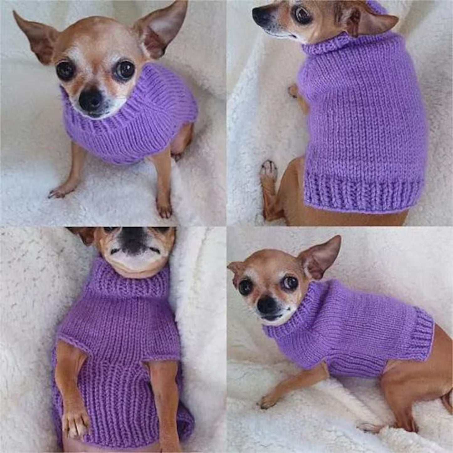 Small Dog Sweater Knitting Pattern