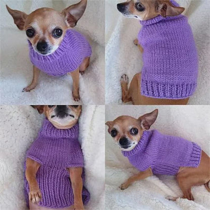 Small Dog Sweater Knitting Pattern