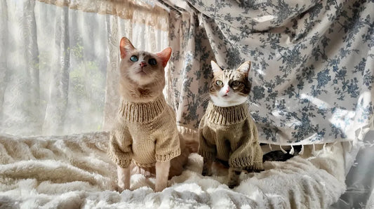 Basic Knit Sweater Pattern for Cats