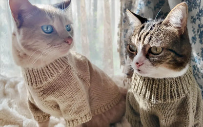 Basic Knit Sweater Pattern for Cats