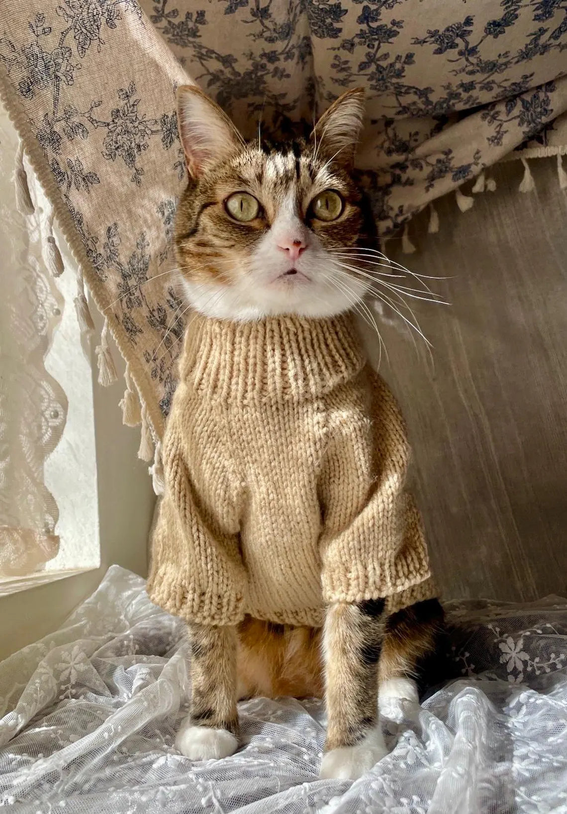 Basic Knit Sweater Pattern for Cats