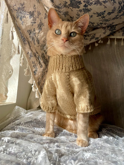 Basic Knit Sweater Pattern for Cats
