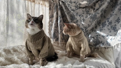 Basic Knit Sweater Pattern for Cats