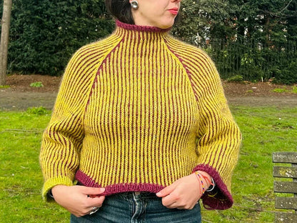 Vertical Stripe Sweater Knitting Pattern