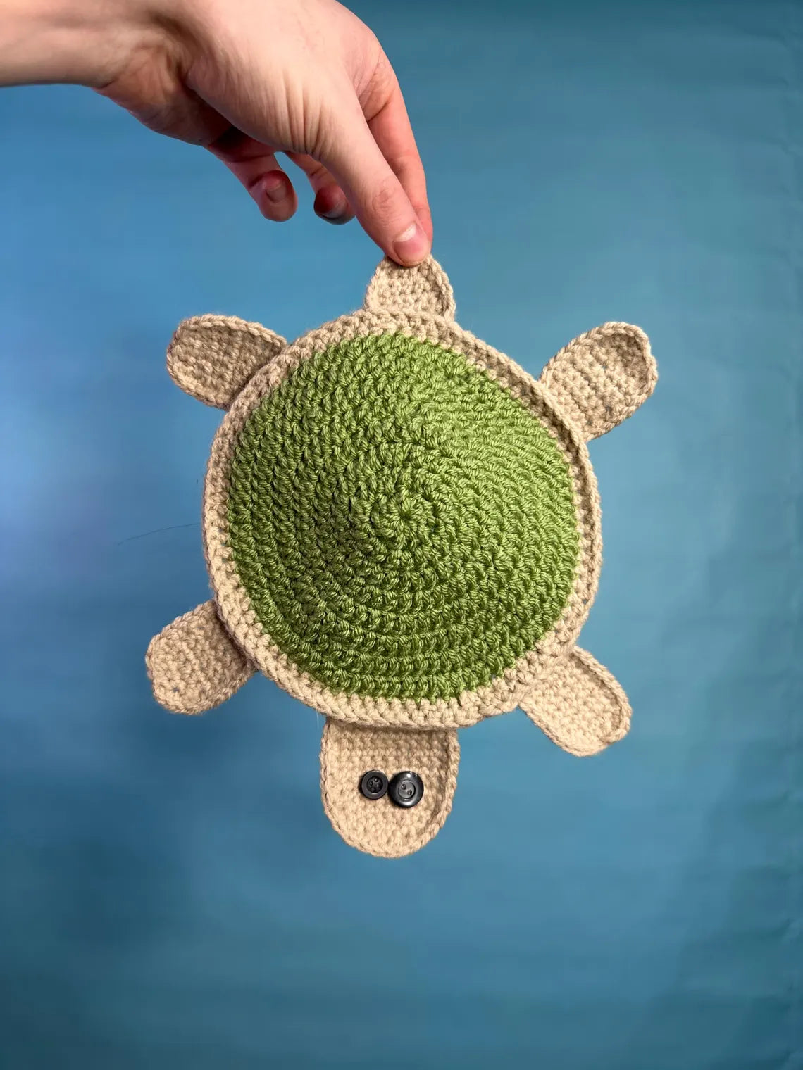 Viral Floor Turtle Crochet Pattern
