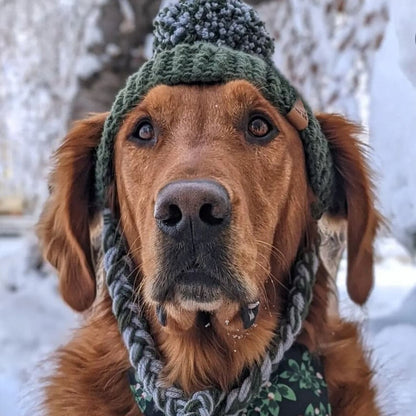 Prickly Paw Hat Crochet Pattern