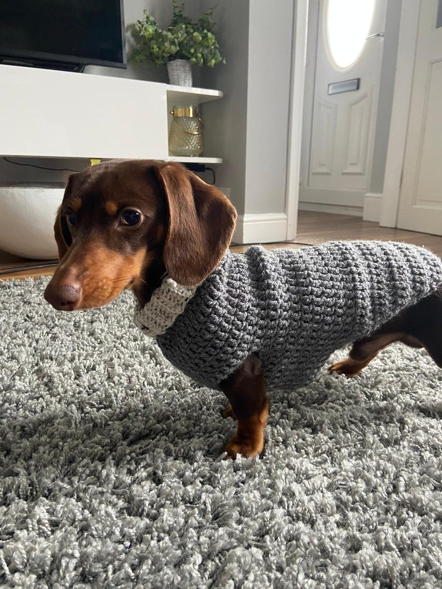 Easy Small Dog Sweater Crochet Pattern