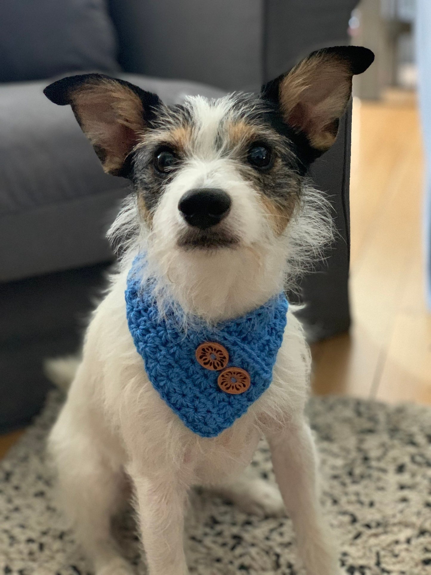 Crochet Button Pet Scarf Pattern