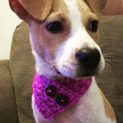 Crochet Button Pet Scarf Pattern