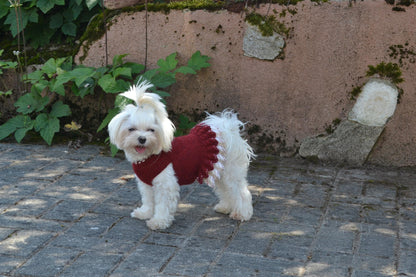 Small Dog Dress Flower Crochet Pattern