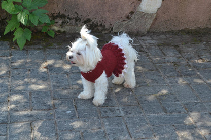 Small Dog Dress Flower Crochet Pattern