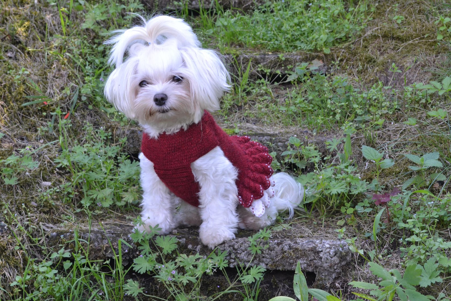 Small Dog Dress Flower Crochet Pattern