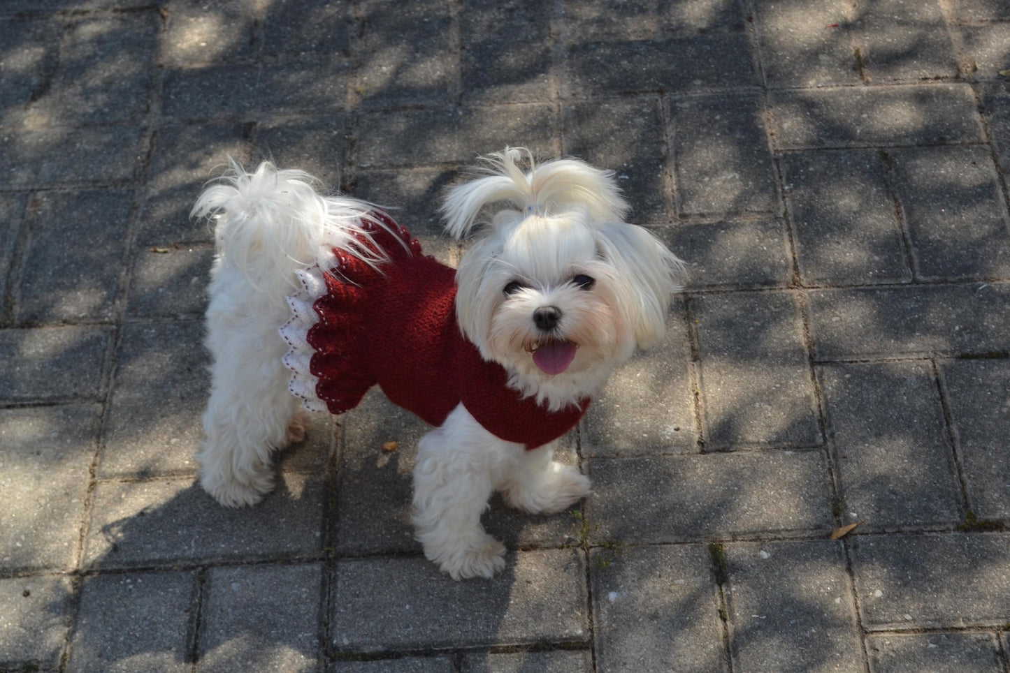 Small Dog Dress Flower Crochet Pattern