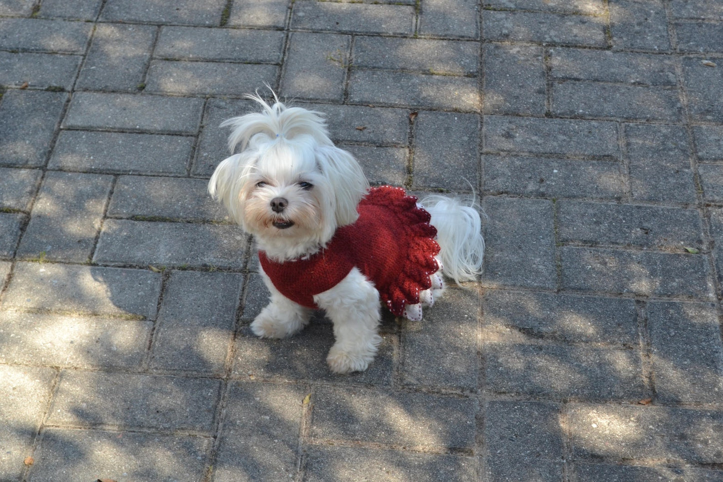 Small Dog Dress Flower Crochet Pattern