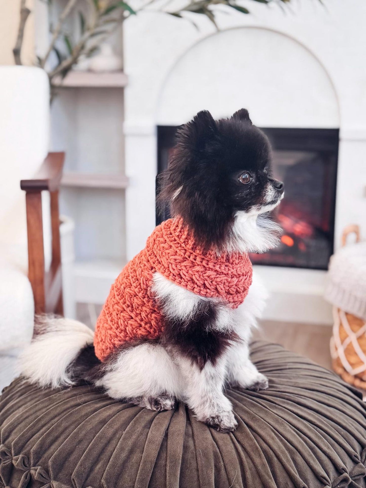 Top Down Dog Sweater Crochet Pattern